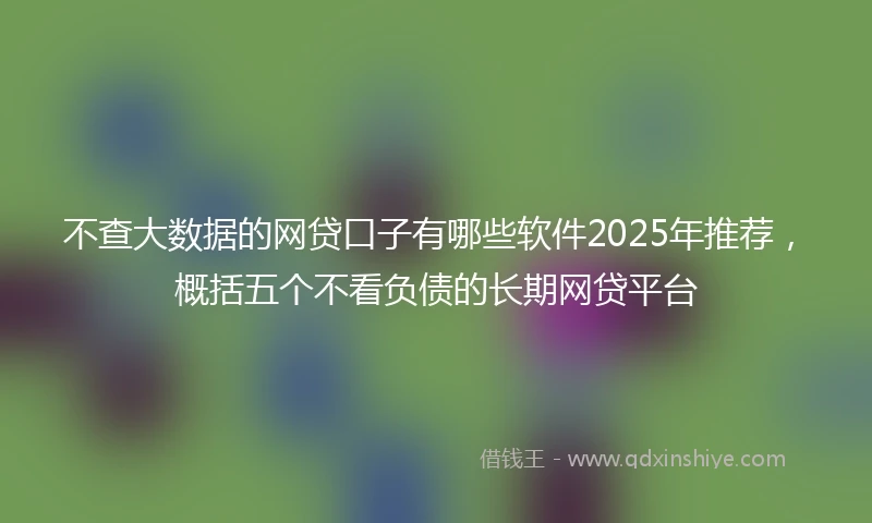 不查大数据的网贷口子有哪些软件2025年推荐，概括五个不看负债的长期网贷平台