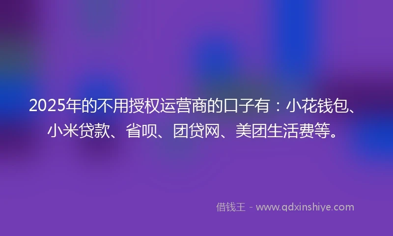 2025年的不用授权运营商的口子有：小花钱包、小米贷款、省呗、团贷网、美团生活费等。