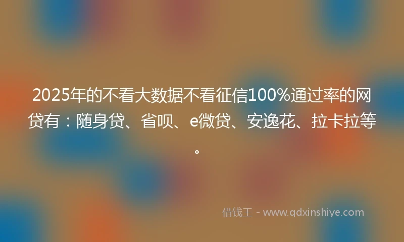 2025年的不看大数据不看征信100%通过率的网贷有：随身贷、省呗、e微贷、安逸花、拉卡拉等。