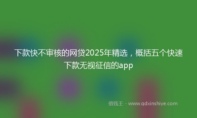 下款快不审核的网贷2025年精选，概括五个快速下款无视征信的app