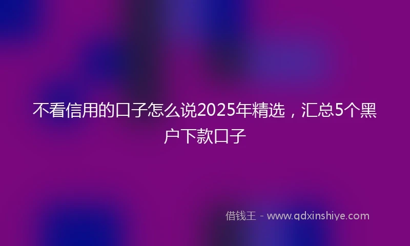 不看信用的口子怎么说2025年精选，汇总5个黑户下款口子