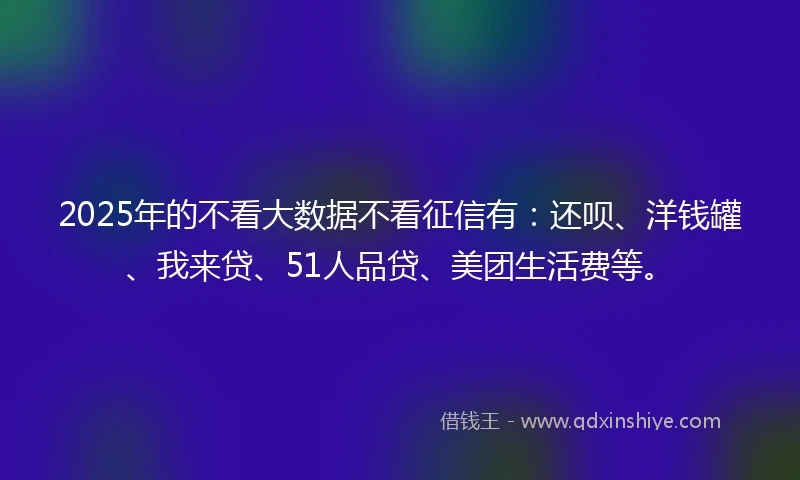 2025年的不看大数据不看征信有：还呗、洋钱罐、我来贷、51人品贷、美团生活费等。