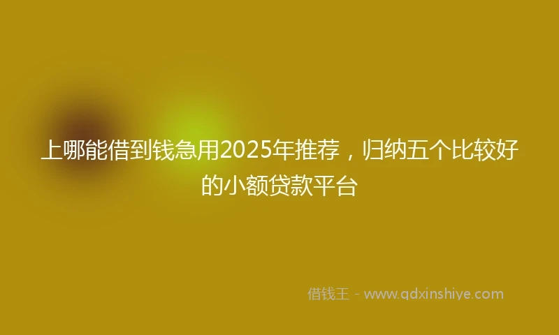 上哪能借到钱急用2025年推荐,归纳五个比较好的小额贷款平台