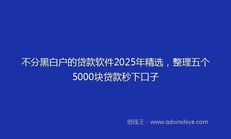 不分黑白户的贷款软件2025年精选，整理五个5000块贷款秒下口子