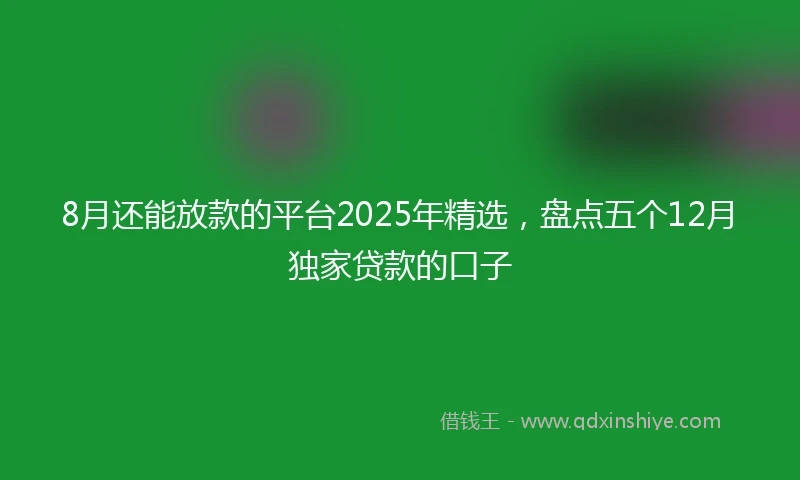 8月还能放款的平台2025年精选，盘点五个12月独家贷款的口子