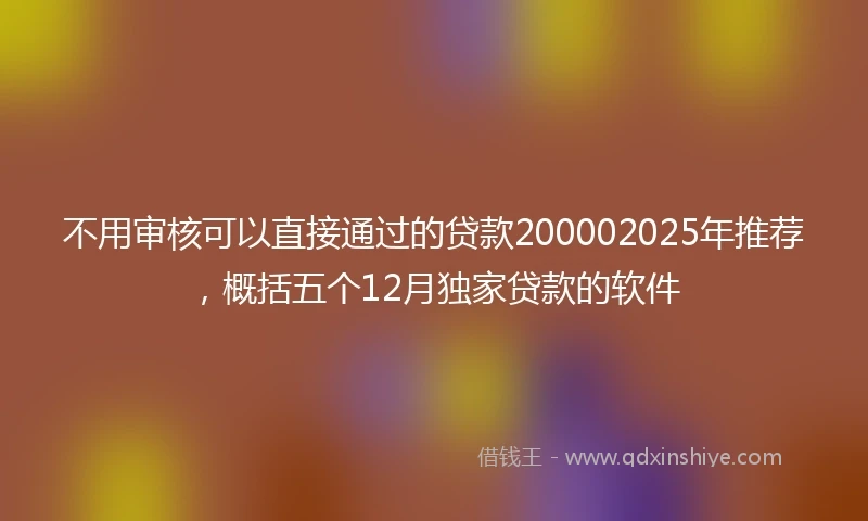 不用审核可以直接通过的贷款200002025年推荐，概括五个12月独家贷款的软件