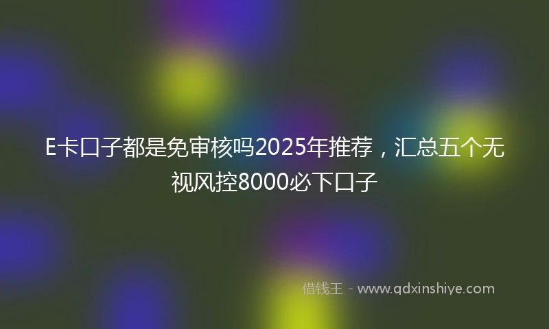 E卡口子都是免审核吗2025年推荐，汇总五个无视风控8000必下口子