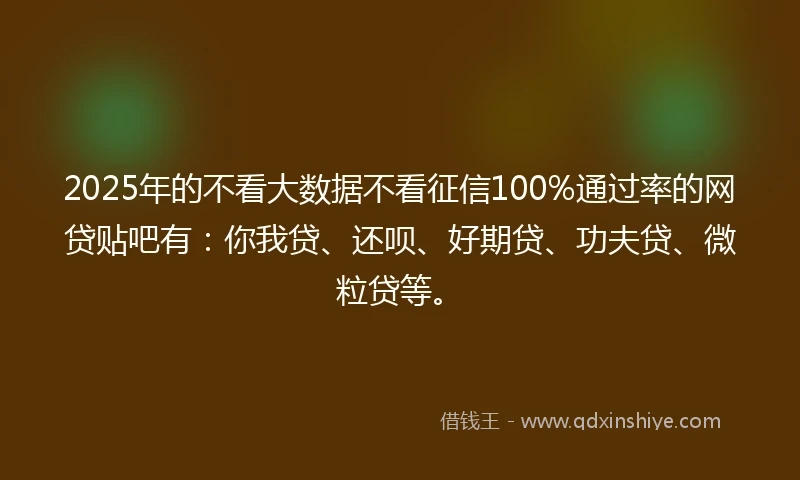 2025年的不看大数据不看征信100%通过率的网贷贴吧有：你我贷、还呗、好期贷、功夫贷、微粒贷等。