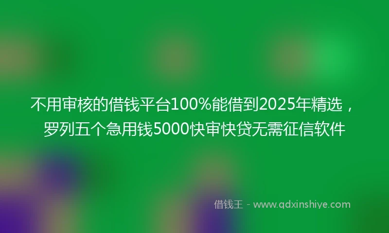 不用审核的借钱平台100%能借到2025年精选，罗列五个急用钱5000快审快贷无需征信软件
