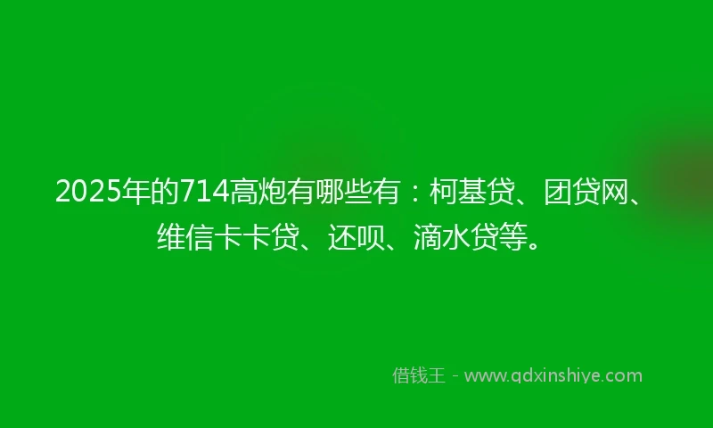 2025年的714高炮有哪些有：柯基贷、团贷网、维信卡卡贷、还呗、滴水贷等。