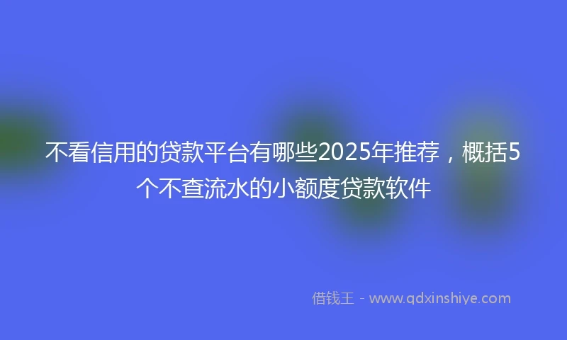 不看信用的贷款平台有哪些2025年推荐，概括5个不查流水的小额度贷款软件
