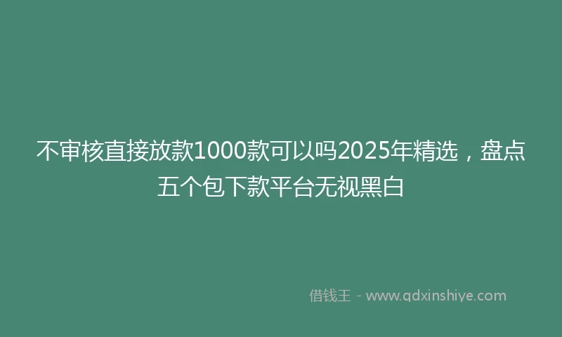 不审核直接放款1000款可以吗2025年精选，盘点五个包下款平台无视黑白