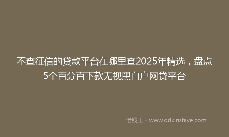 不查征信的贷款平台在哪里查2025年精选，盘点5个百分百下款无视黑白户网贷平台