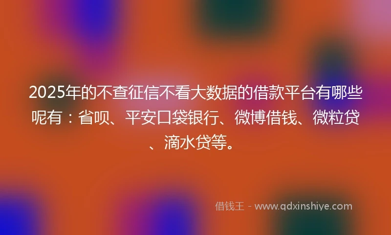 2025年的不查征信不看大数据的借款平台有哪些呢有：省呗、平安口袋银行、微博借钱、微粒贷、滴水贷等。