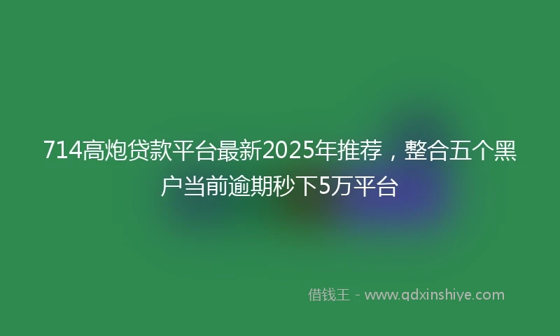 714高炮贷款平台最新2025年推荐，整合五个黑户当前逾期秒下5万平台