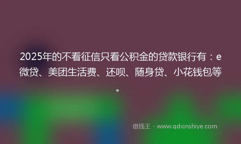 2025年的不看征信只看公积金的贷款银行有：e微贷、美团生活费、还呗、随身贷、小花钱包等。