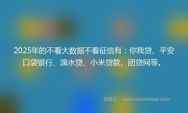 2025年的不看大数据不看征信有：你我贷、平安口袋银行、滴水贷、小米贷款、团贷网等。