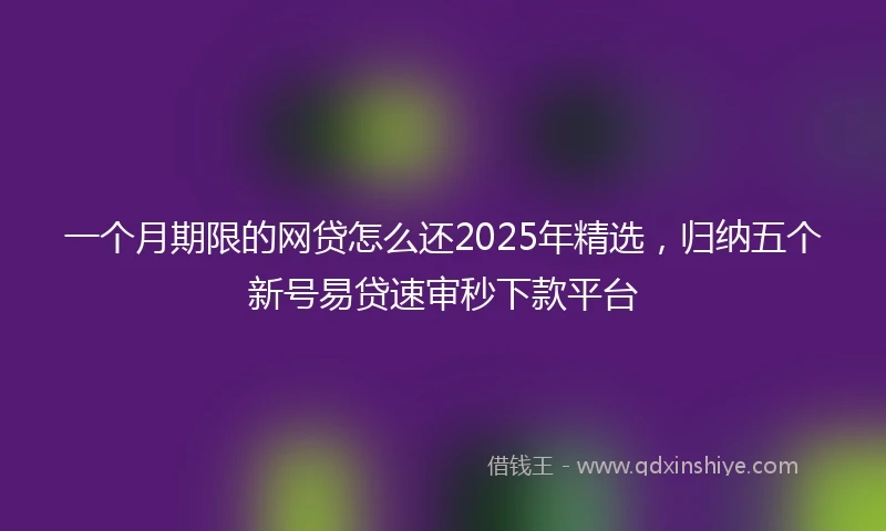 一个月期限的网贷怎么还2025年精选，归纳五个新号易贷速审秒下款平台