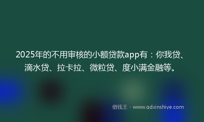 2025年的不用审核的小额贷款app有：你我贷、滴水贷、拉卡拉、微粒贷、度小满金融等。