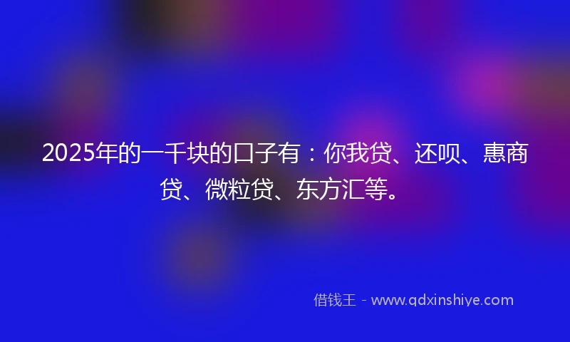 2025年的一千块的口子有：你我贷、还呗、惠商贷、微粒贷、东方汇等。