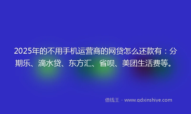 2025年的不用手机运营商的网贷怎么还款有：分期乐、滴水贷、东方汇、省呗、美团生活费等。