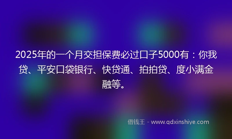 2025年的一个月交担保费必过口子5000有：你我贷、平安口袋银行、快贷通、拍拍贷、度小满金融等。