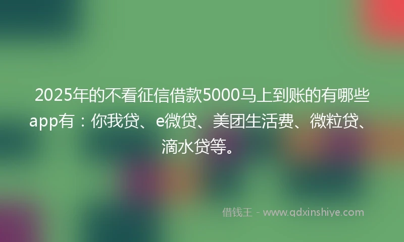 2025年的不看征信借款5000马上到账的有哪些app有：你我贷、e微贷、美团生活费、微粒贷、滴水贷等。