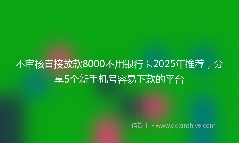 不审核直接放款8000不用银行卡2025年推荐，分享5个新手机号容易下款的平台