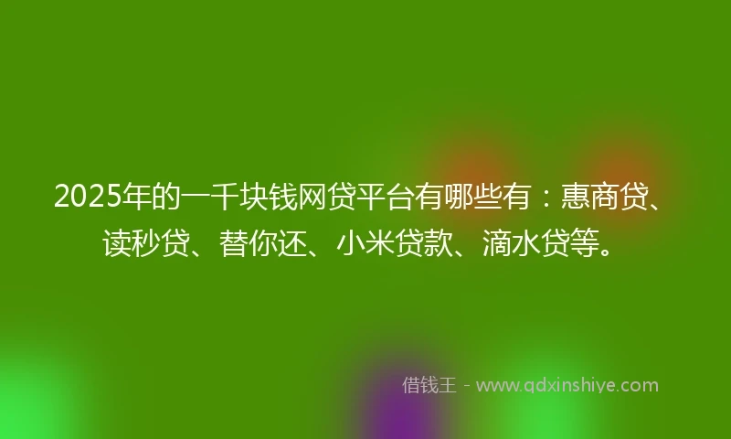 2025年的一千块钱网贷平台有哪些有：惠商贷、读秒贷、替你还、小米贷款、滴水贷等。