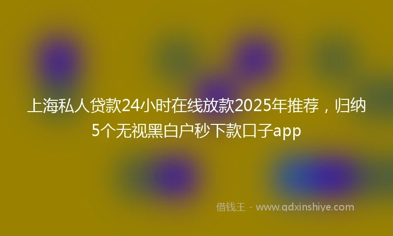 上海私人贷款24小时在线放款2025年推荐，归纳5个无视黑白户秒下款口子app