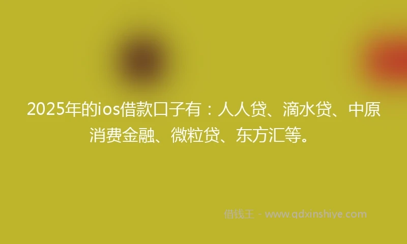 2025年的ios借款口子有：人人贷、滴水贷、中原消费金融、微粒贷、东方汇等。