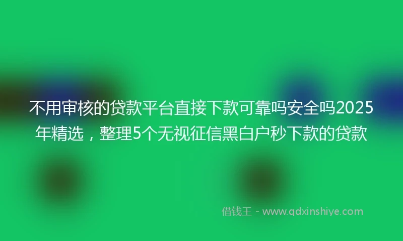 不用审核的贷款平台直接下款可靠吗安全吗2025年精选，整理5个无视征信黑白户秒下款的贷款