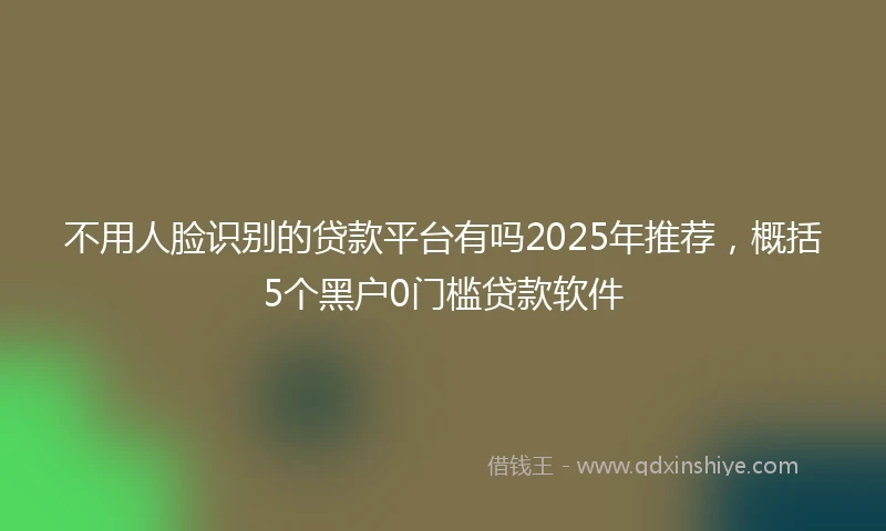 不用人脸识别的贷款平台有吗2025年推荐，概括5个黑户0门槛贷款软件