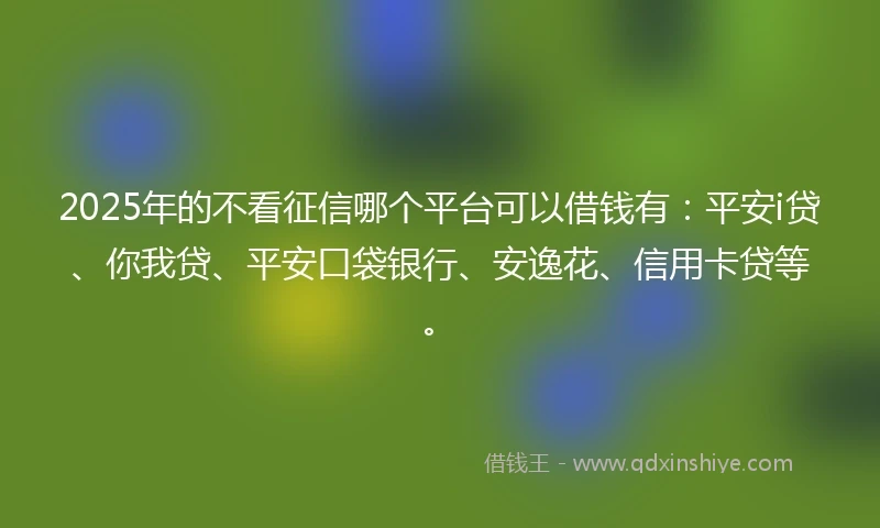 2025年的不看征信哪个平台可以借钱有：平安i贷、你我贷、平安口袋银行、安逸花、信用卡贷等。