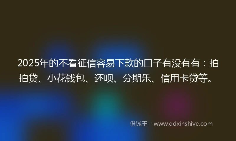 2025年的不看征信容易下款的口子有没有有：拍拍贷、小花钱包、还呗、分期乐、信用卡贷等。