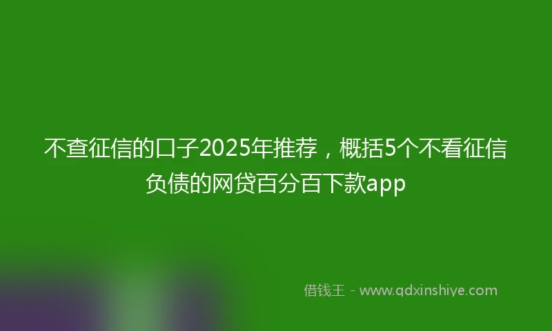 不查征信的口子2025年推荐，概括5个不看征信负债的网贷百分百下款app