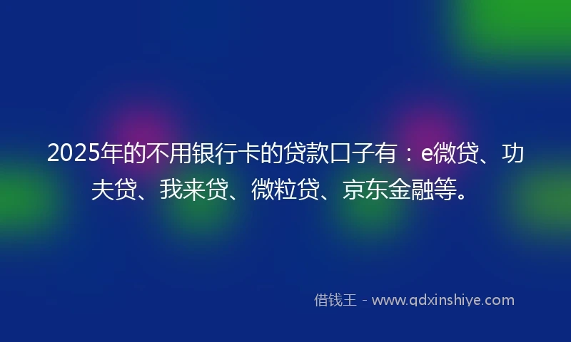 2025年的不用银行卡的贷款口子有：e微贷、功夫贷、我来贷、微粒贷、京东金融等。