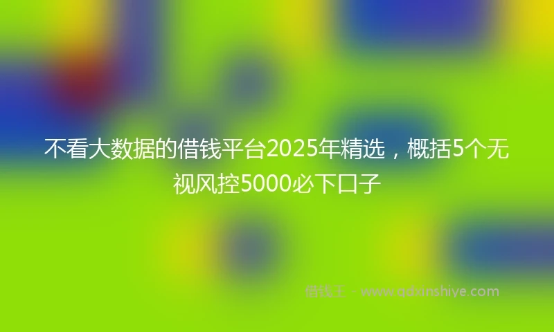不看大数据的借钱平台2025年精选，概括5个无视风控5000必下口子