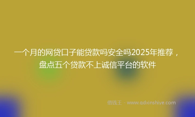 一个月的网贷口子能贷款吗安全吗2025年推荐，盘点五个贷款不上诚信平台的软件