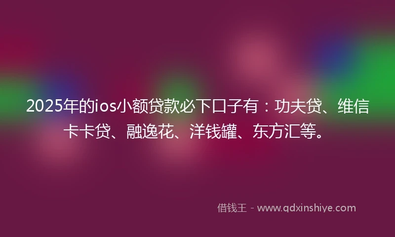 2025年的ios小额贷款必下口子有：功夫贷、维信卡卡贷、融逸花、洋钱罐、东方汇等。