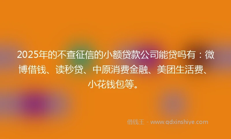 2025年的不查征信的小额贷款公司能贷吗有：微博借钱、读秒贷、中原消费金融、美团生活费、小花钱包等。