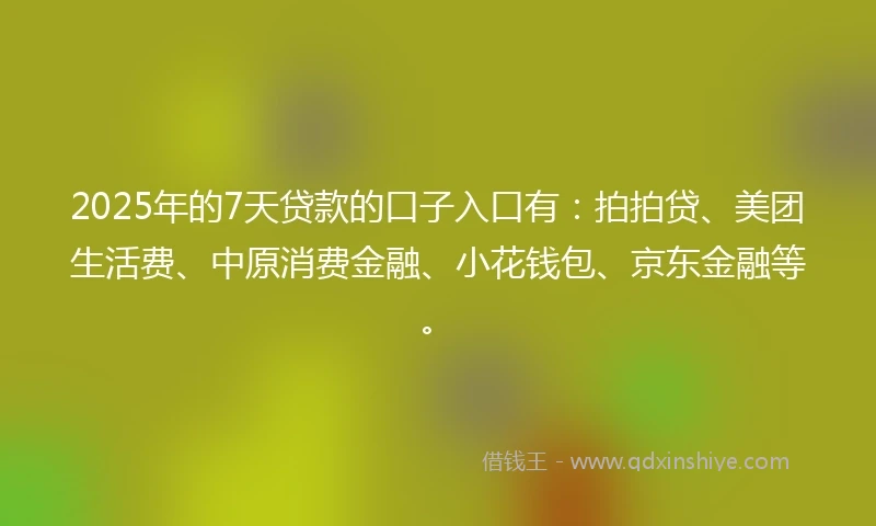 2025年的7天贷款的口子入口有：拍拍贷、美团生活费、中原消费金融、小花钱包、京东金融等。