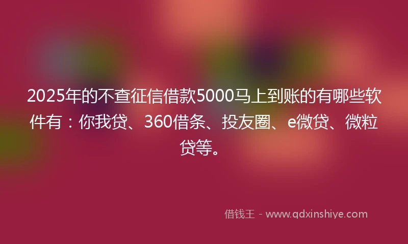 2025年的不查征信借款5000马上到账的有哪些软件有：你我贷、360借条、投友圈、e微贷、微粒贷等。