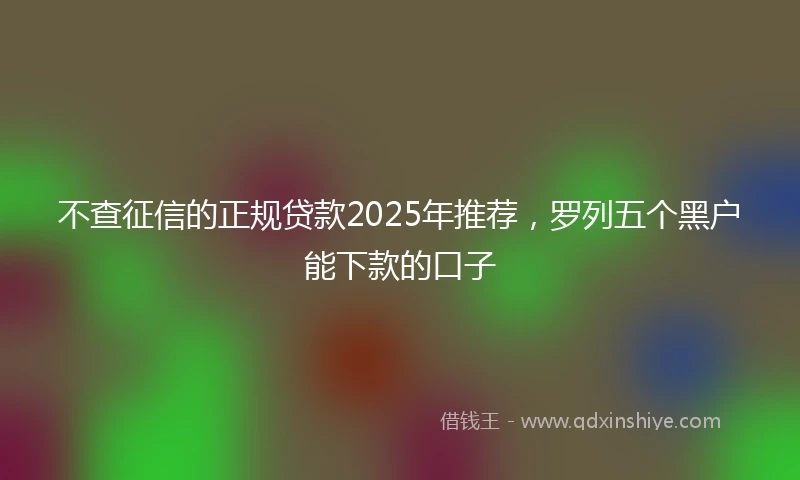 不查征信的正规贷款2025年推荐，罗列五个黑户能下款的口子