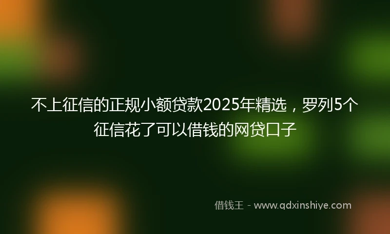 不上征信的正规小额贷款2025年精选，罗列5个征信花了可以借钱的网贷口子