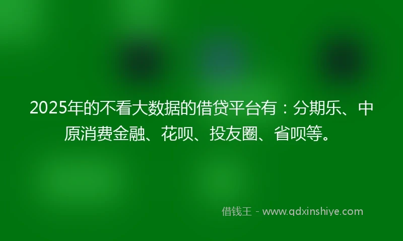 2025年的不看大数据的借贷平台有：分期乐、中原消费金融、花呗、投友圈、省呗等。