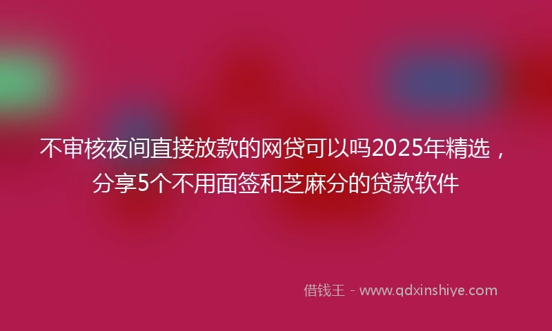不审核夜间直接放款的网贷可以吗2025年精选，分享5个不用面签和芝麻分的贷款软件