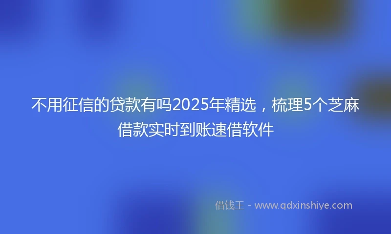 不用征信的贷款有吗2025年精选，梳理5个芝麻借款实时到账速借软件
