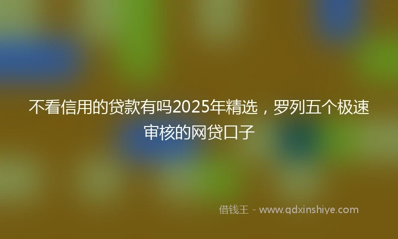 不看信用的贷款有吗2025年精选，罗列五个极速审核的网贷口子