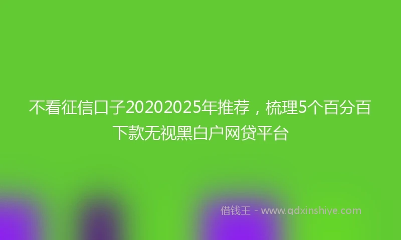 不看征信口子20202025年推荐，梳理5个百分百下款无视黑白户网贷平台